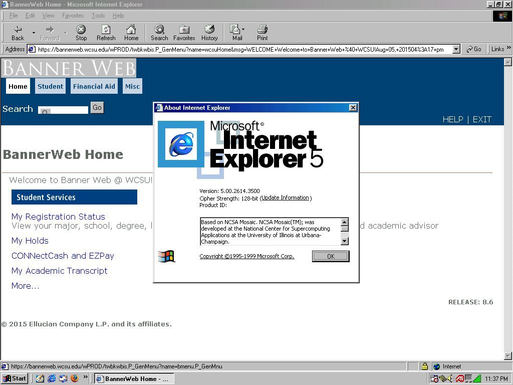 microsoft internet explorer download for windows xp