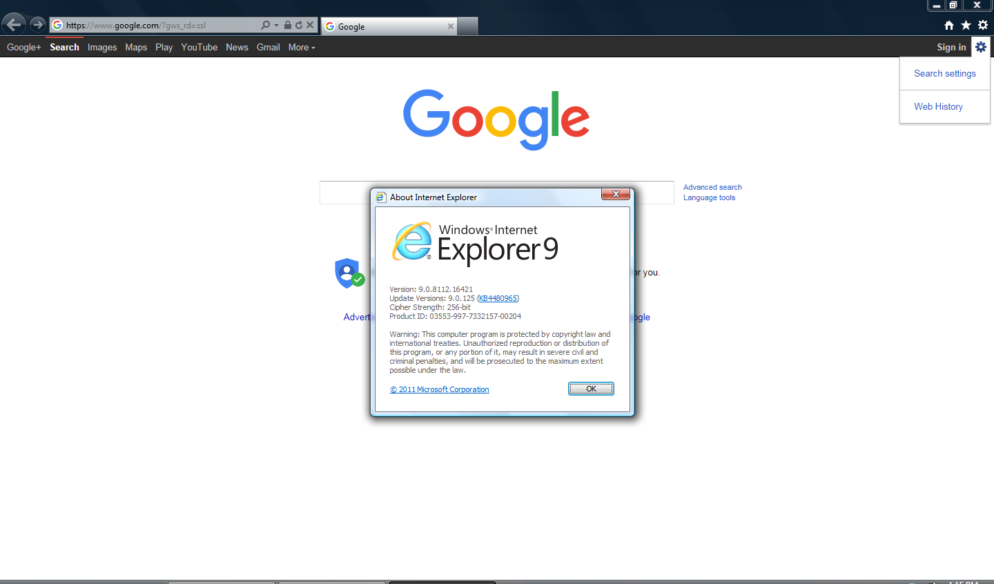 internet explorer 9 vista